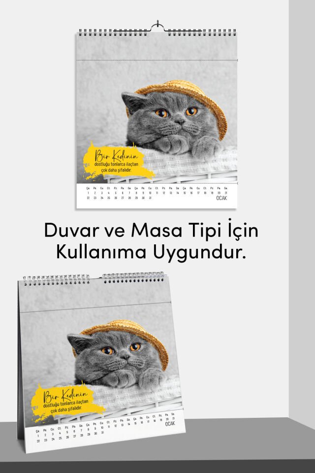 2026 Yeni Yıl Kedi Severler Takvimi - Masa ve Duvar Tipi, Hayvan Sever Takvimi