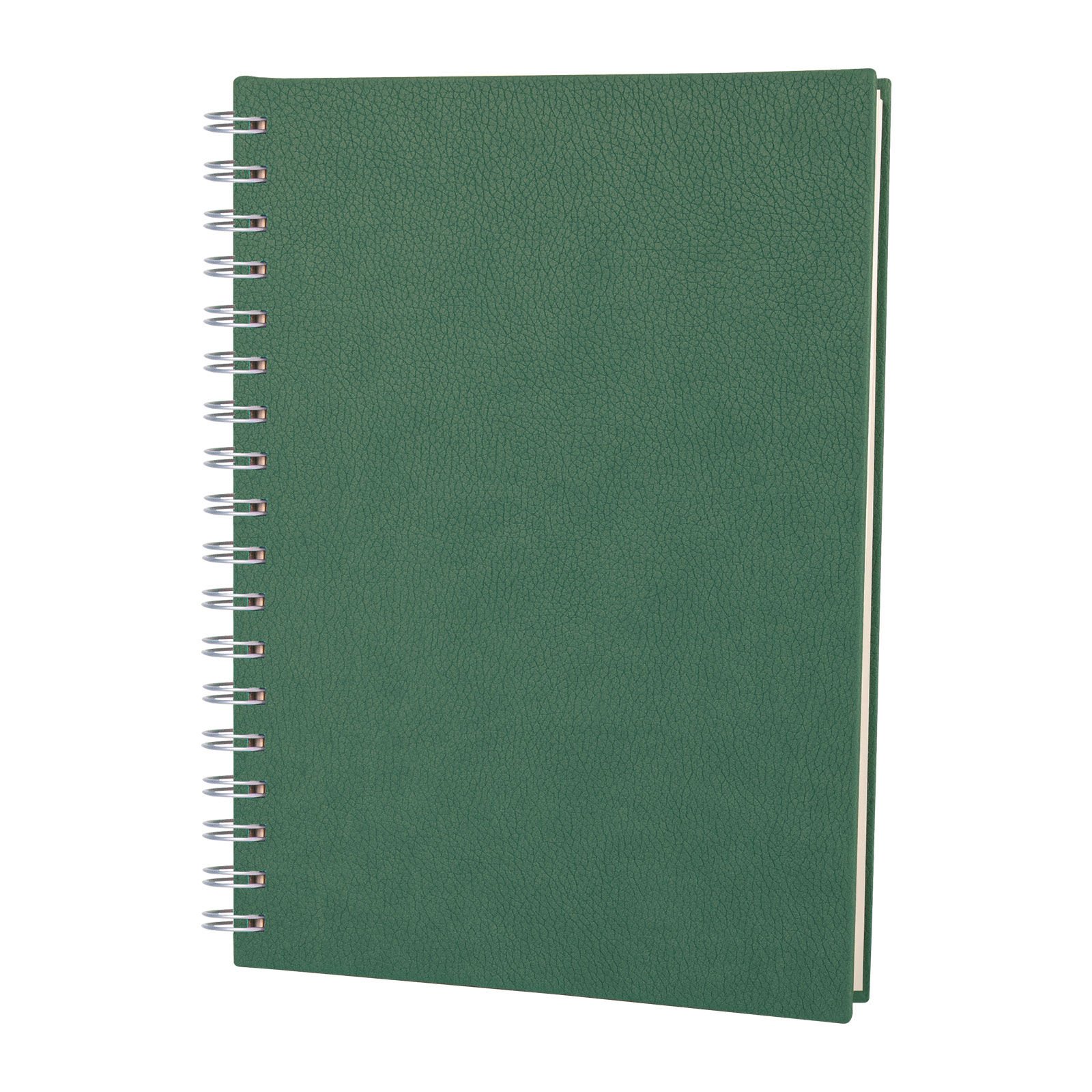 ALTINDAĞ SİYAH KARELİ SPİRALLİ TARİHSİZ DEFTER (17X24 CM) Yeşil