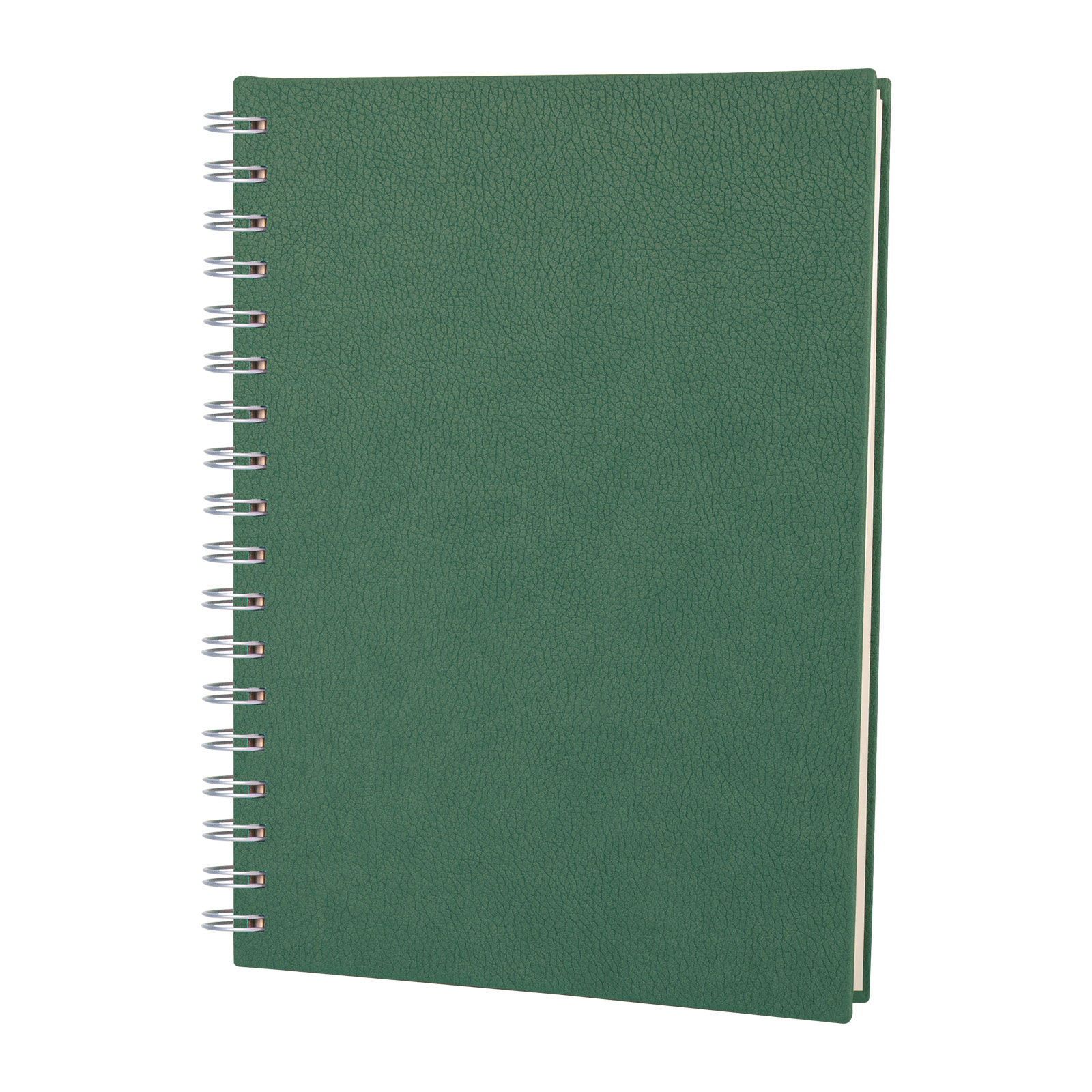 ALTINDAĞ SİYAH KARELİ SPİRALLİ TARİHSİZ DEFTER (17X24 CM) Yeşil