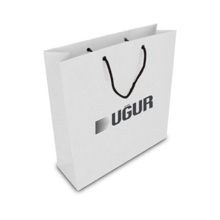 ALA-56 KÜÇÜK BOY KARTON ÇANTA(24x25.5x8,5 cm)